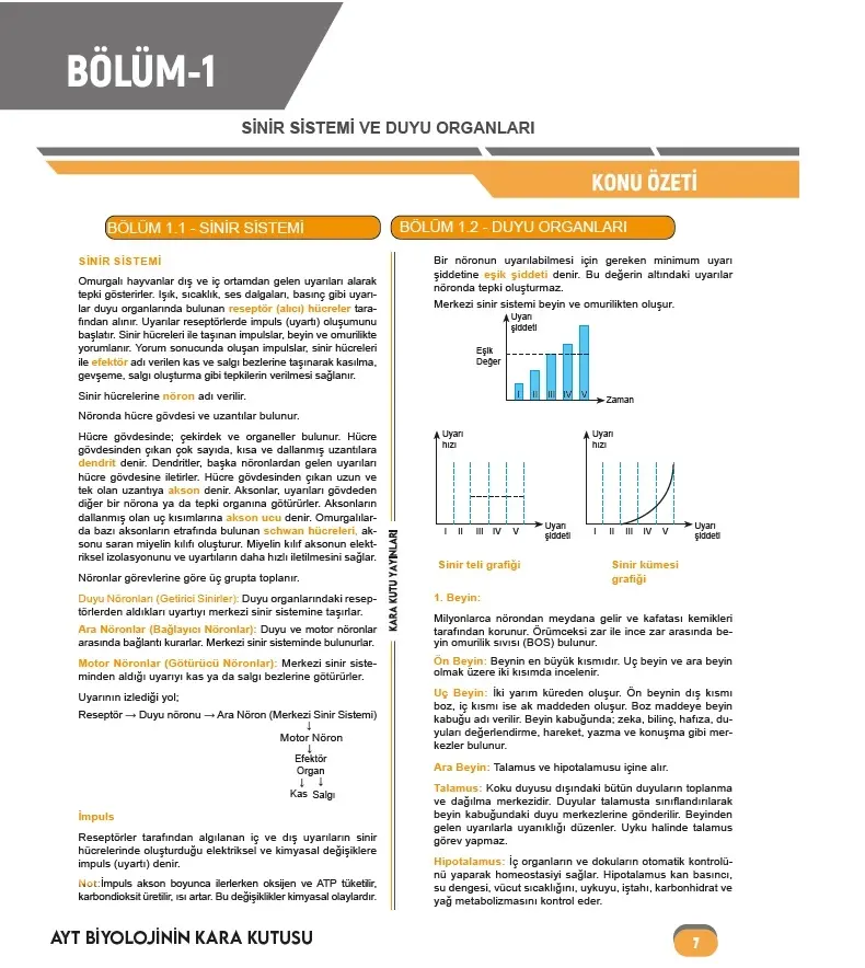 2026 YKS-AYT BİYOLOJİ’nin Kara Kutusu ÖSYM Çıkmış Soru Havuzu Bankası Konu Özetli Dijital Çözümlü
