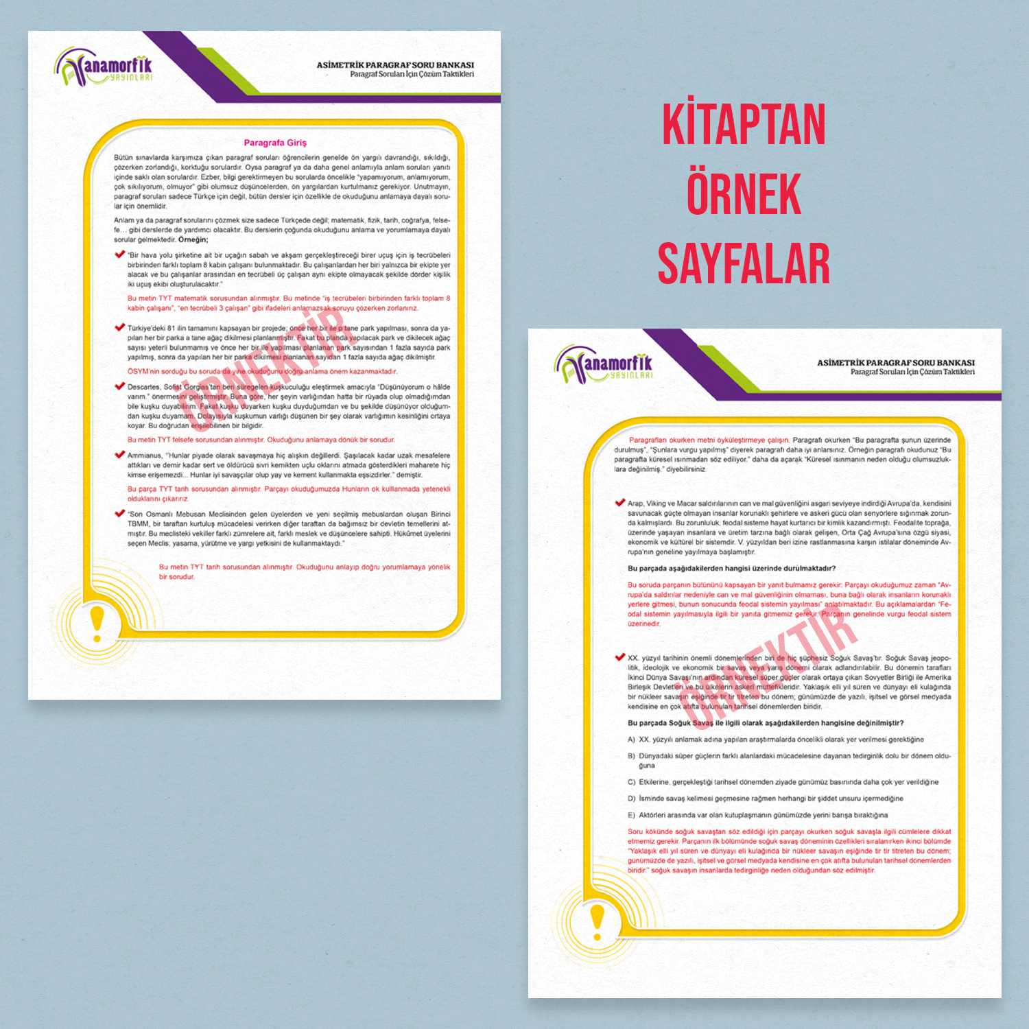 MEB-AGS Güncel Türkçe Anamorfik Paragraf Soru Bankası Yeni Müfredat Konu Özetli Çözümlü